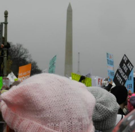 Delphi students and staff attend Women’s Marches