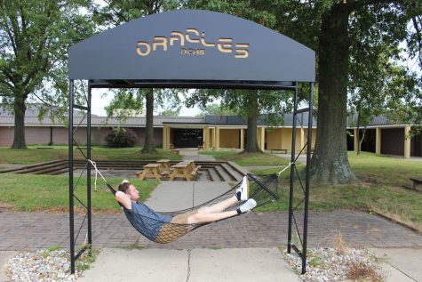 10 Reasons to acquire a hammock