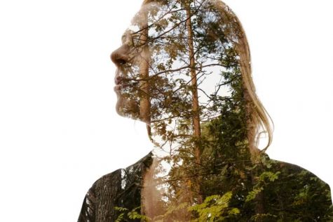 I tried the “Nature Cure”