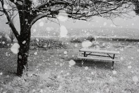 The First Snowfall