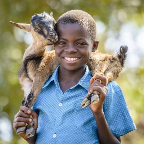 Let’s pause and buy a goat