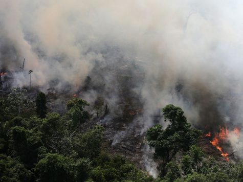 Fires in the Amazon pose significant problems