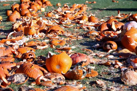 The mangled attempts to carve a pumpkin here are shown. Thousand of pumpkins are wasted simply because people suck at carving them.
