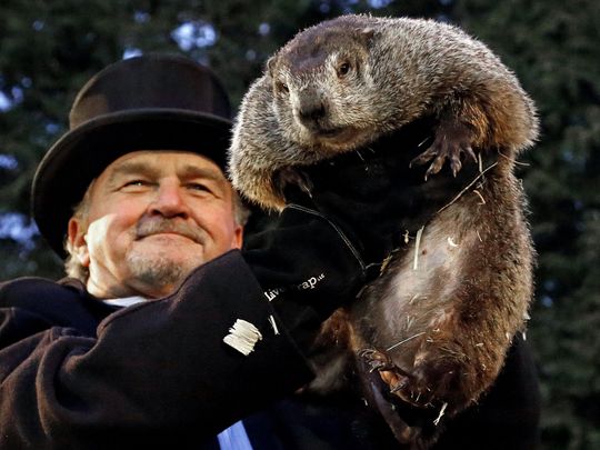 Evolution of Groundhog Day