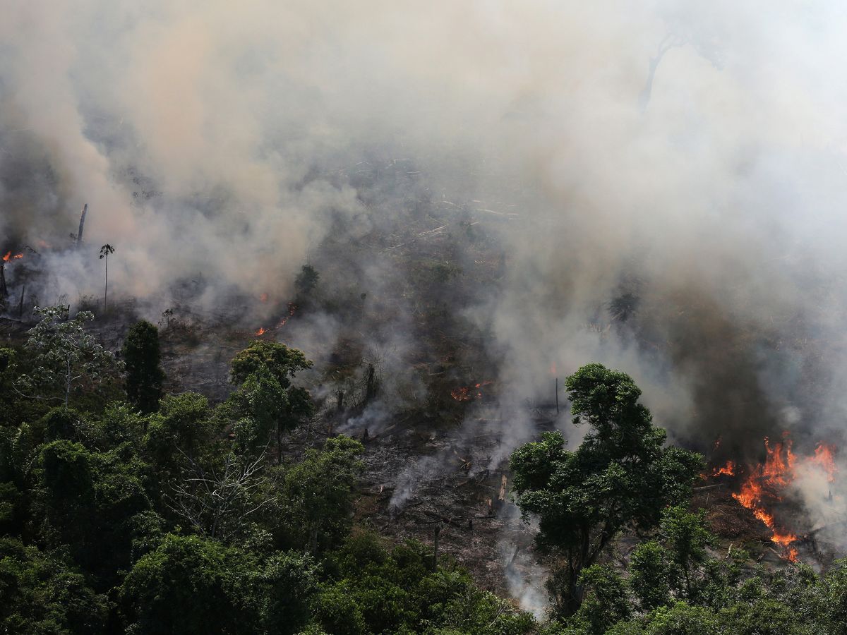 Fires in the Amazon pose significant problems – Parnassus