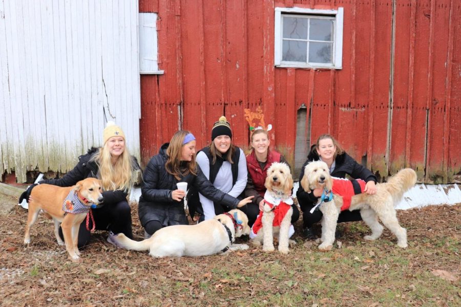 A group shot of all the beautiful dogs that joined the race last year!