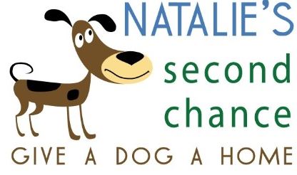 Delphi Interact volunteers at Natalies Second Chance