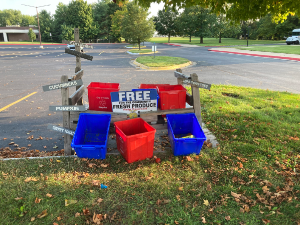 The free produce stand outside the Corporation Office. taken by Rebecca Kelly