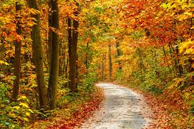 October Weather Outlook